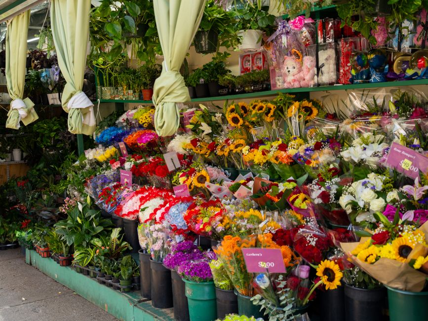 A colorful outdoor flower display at Flowers Westcombe Park, showcasing a diverse selection of fresh floral bouquets arranged in black buckets and wrapped in clear plastic. The arrangement includes su